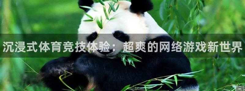 MK体育官方正版app集团:沉浸式体育竞技体验:超爽的网络游